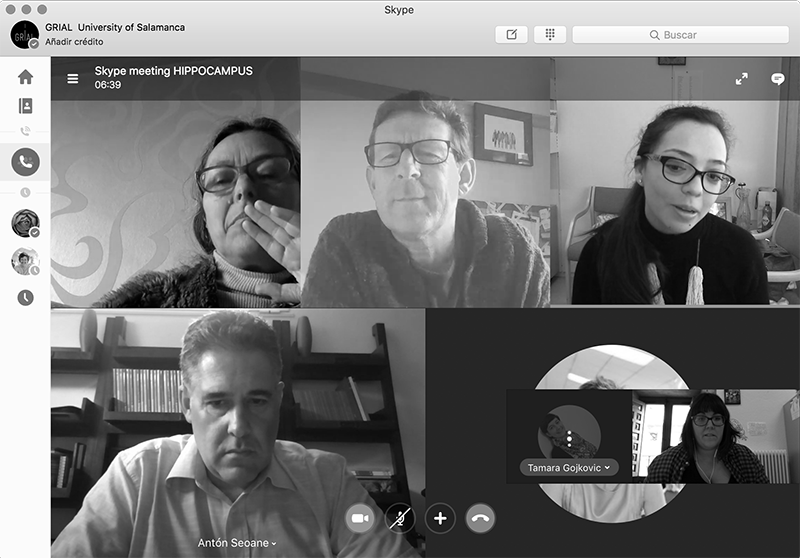 Skype meetings HIPPOCAMPUS